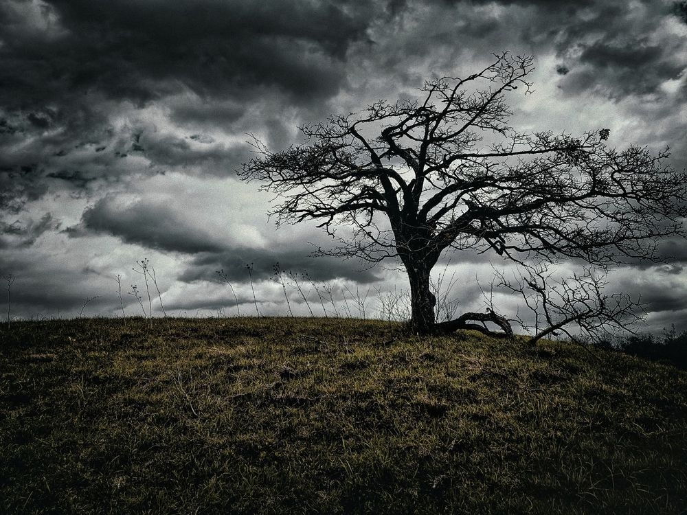 Photograph by Phantom