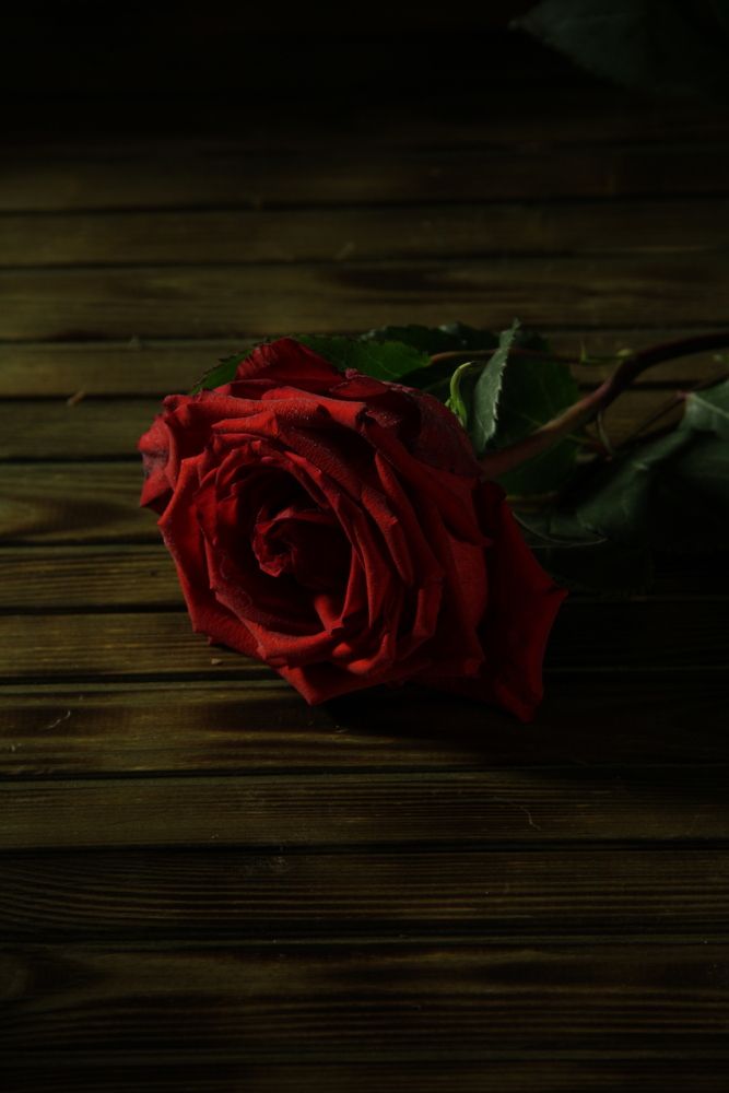 Photograph by Яна Сальникова