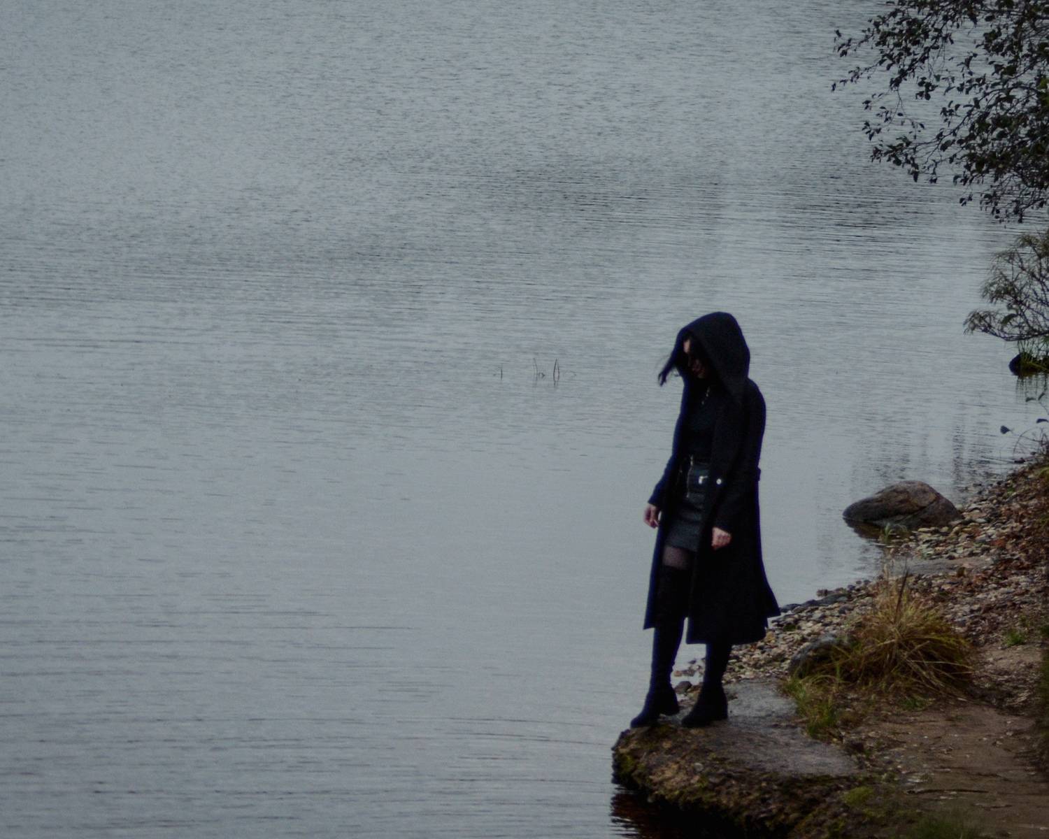 Photo #13649287