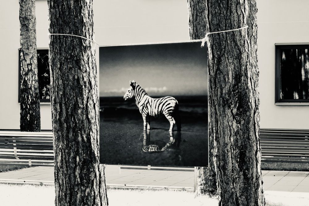 Photograph by VIZO