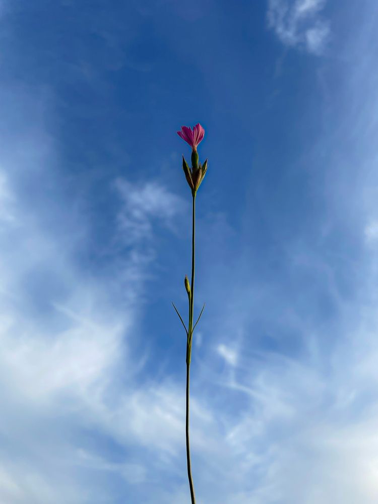 Photograph by Анна Пигулевская