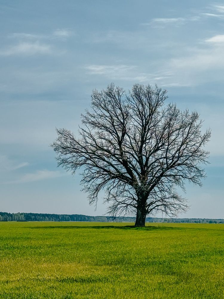 Photograph by Анна Пигулевская
