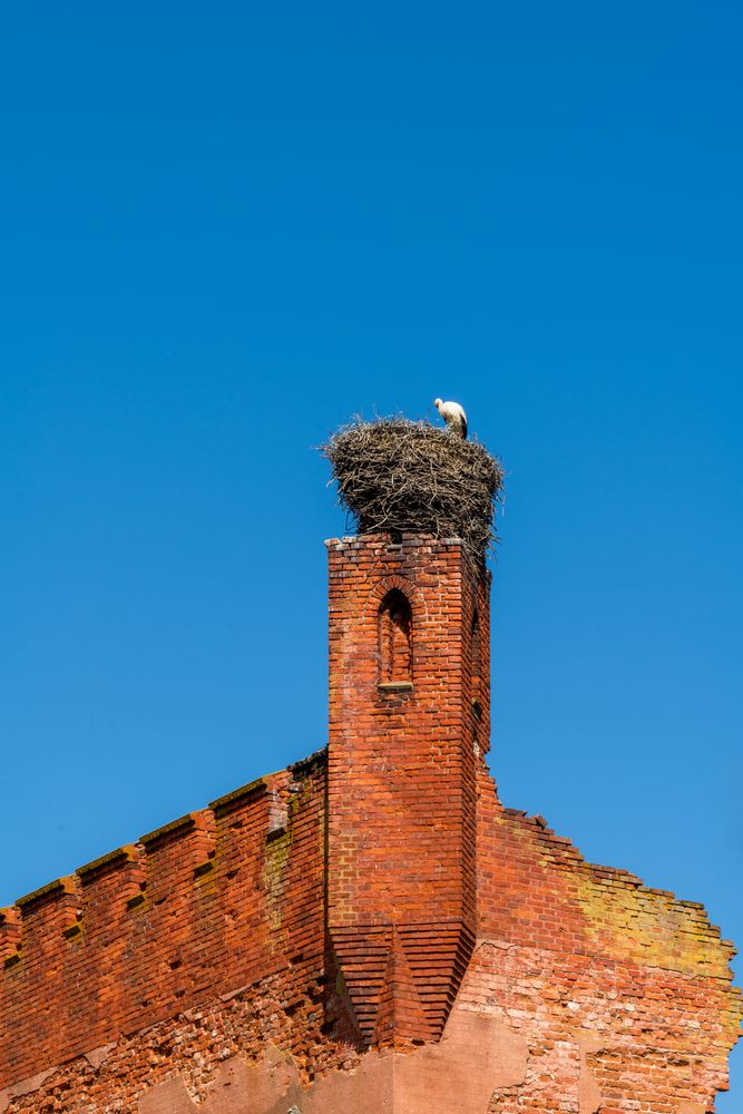 Photograph by YURIY TSARENKO