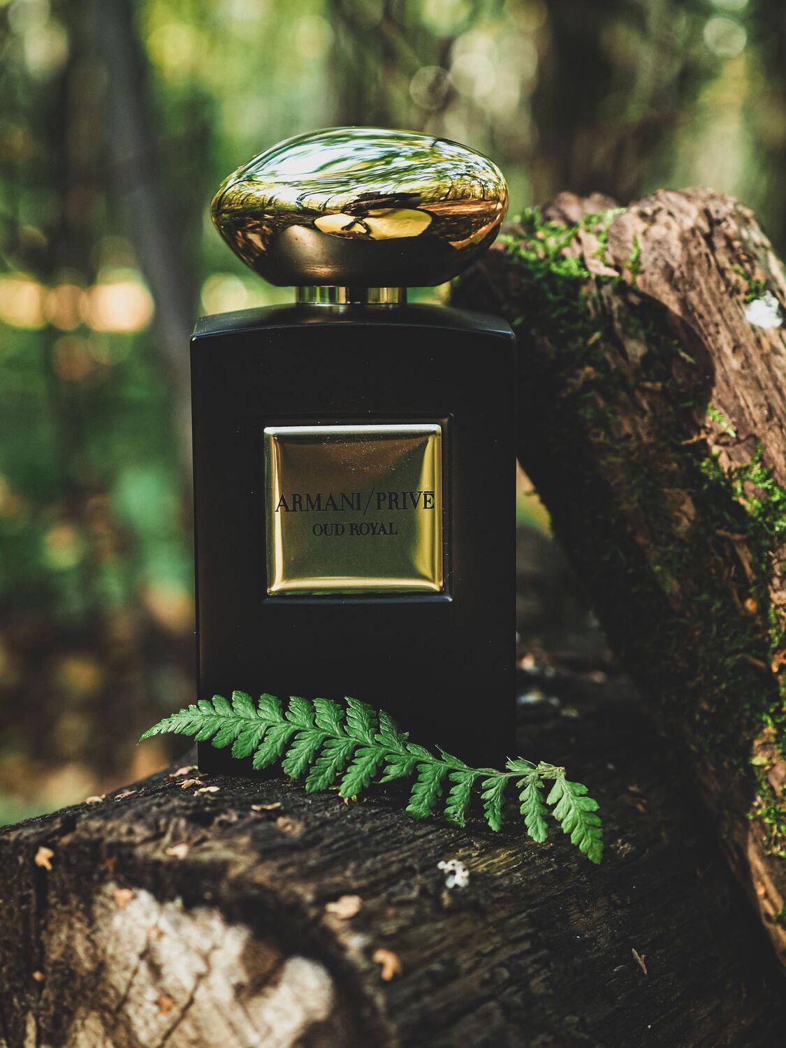 Photo #13649423