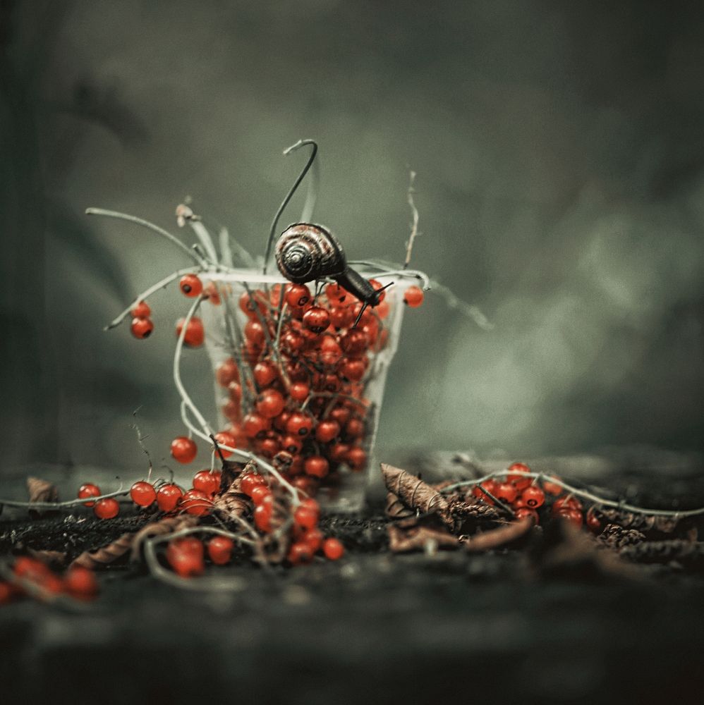 Фотография автора Татьяна Максакова