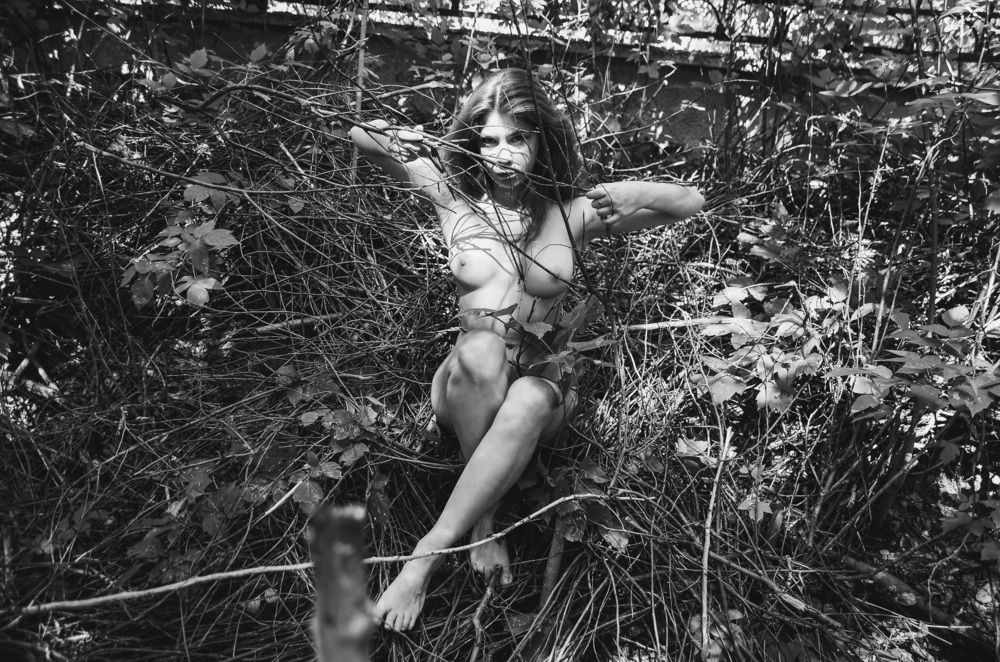 Фотография автора Степан Сопегин