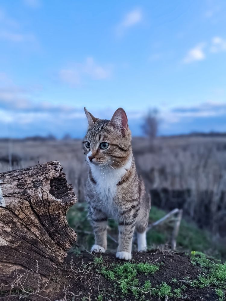 Photograph by Марина Мальцева