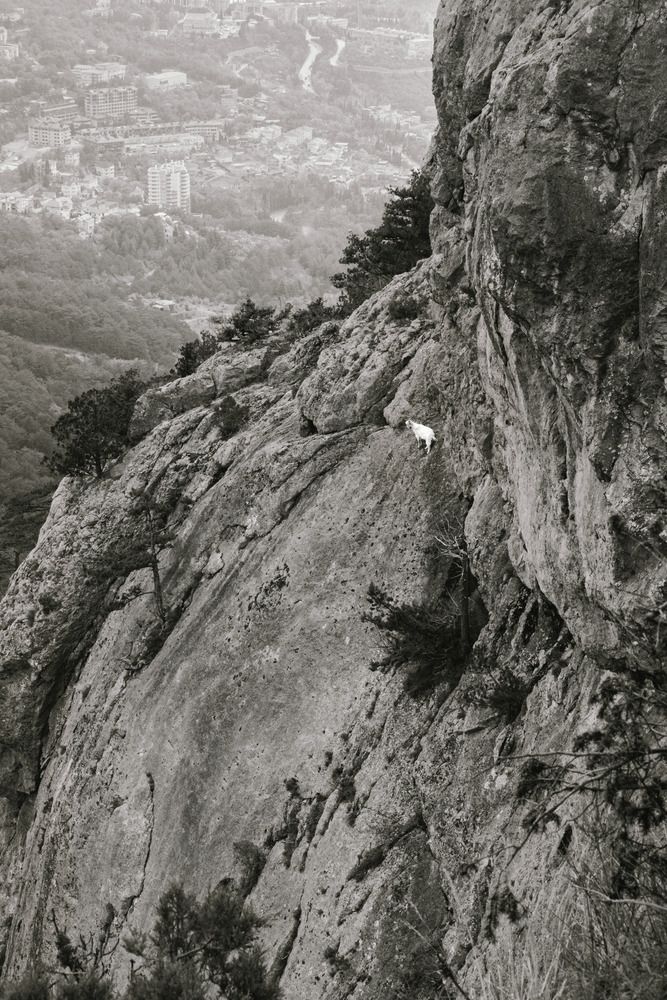 Фотография автора Ярослав Качура