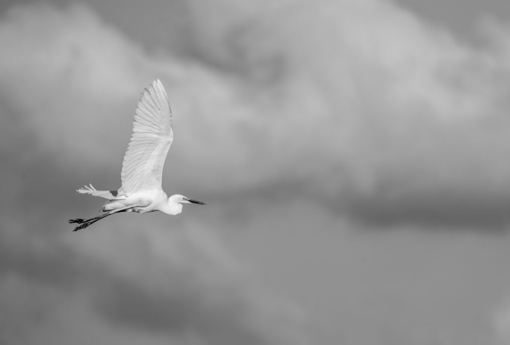 Photograph by Евгений Суммер