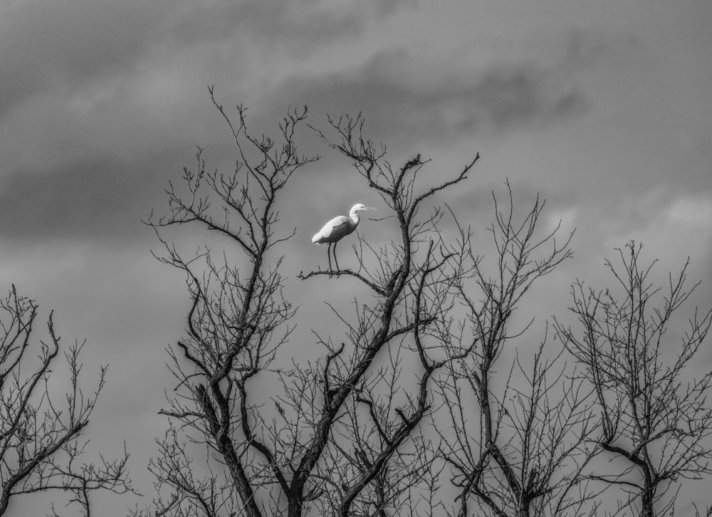 Photograph by Евгений Суммер
