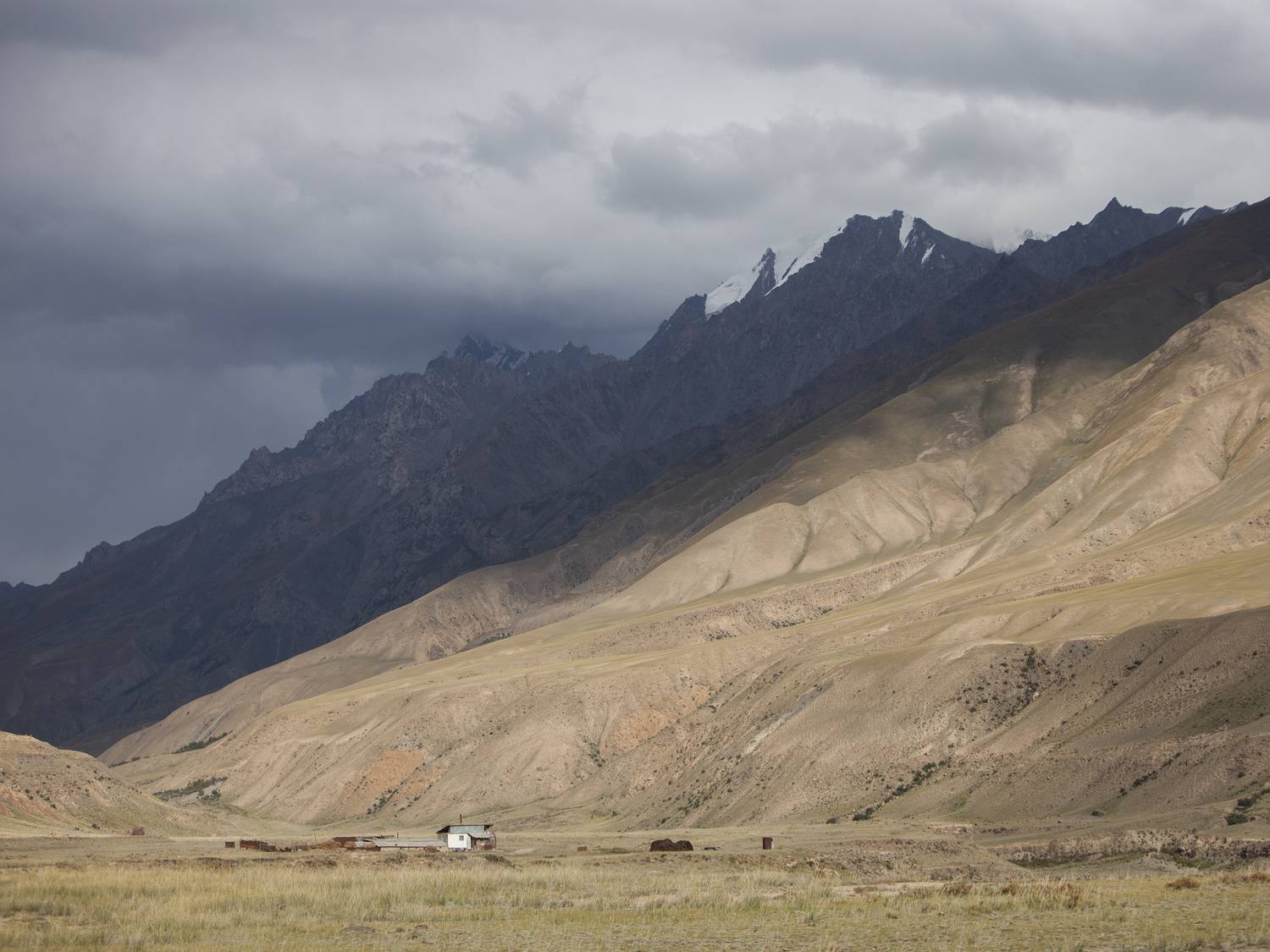 Photo #13649609