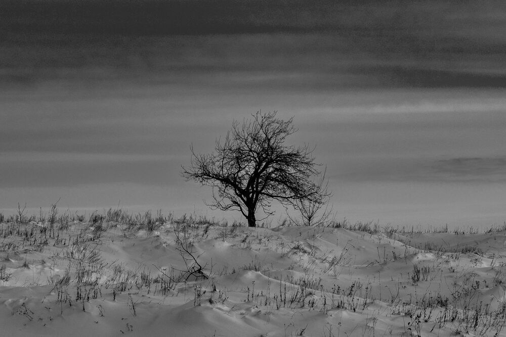 Photograph by Бычков Валерий