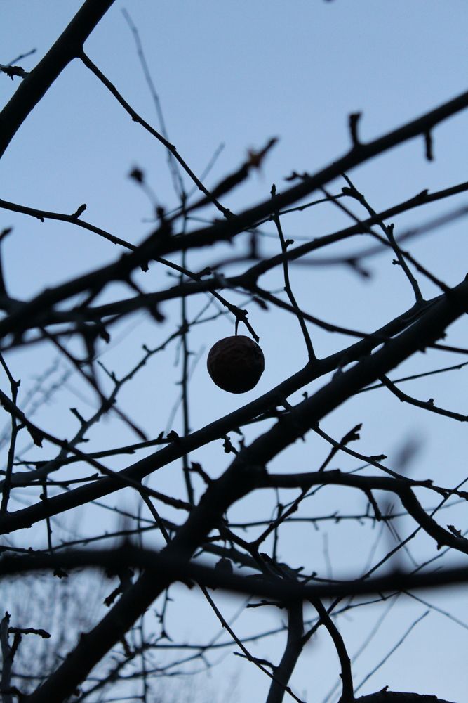 Photograph by Любовь Должикова