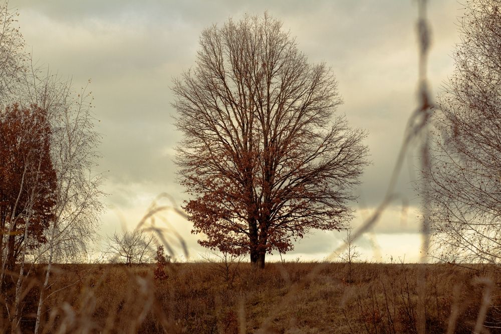 Photograph by Любовь Должикова
