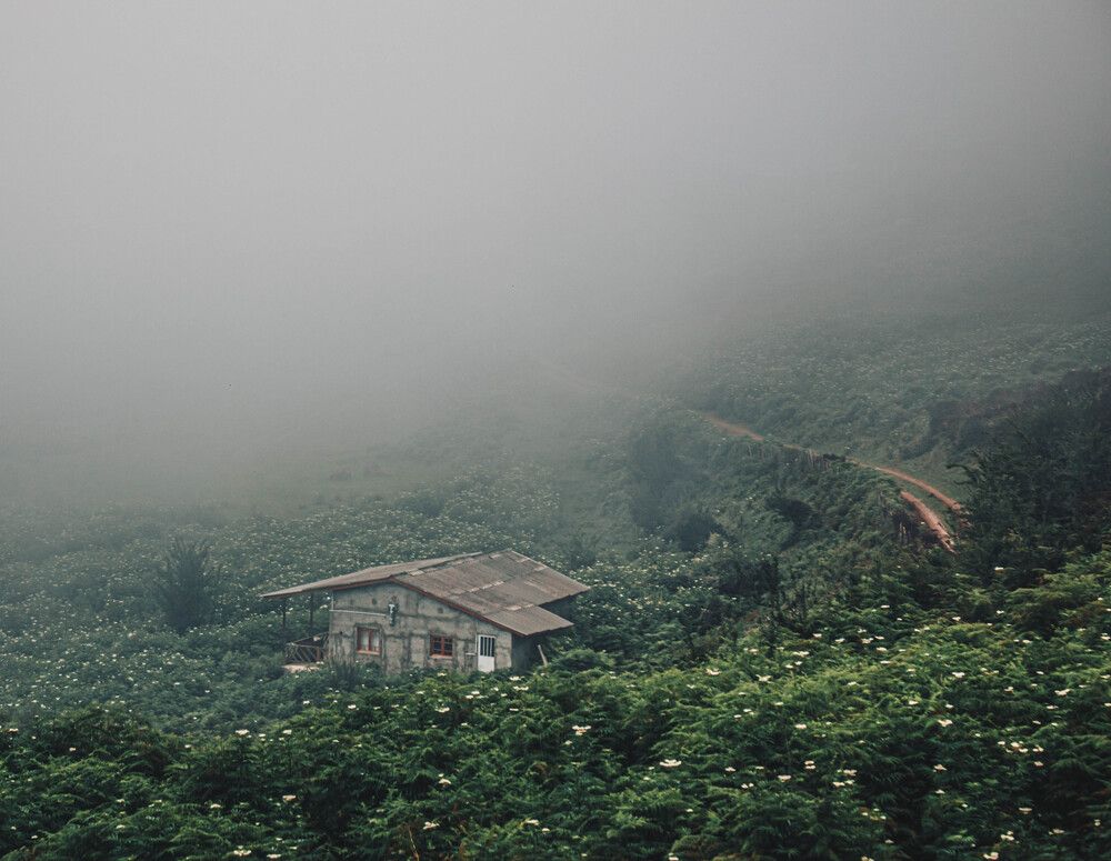 Photo #13649681