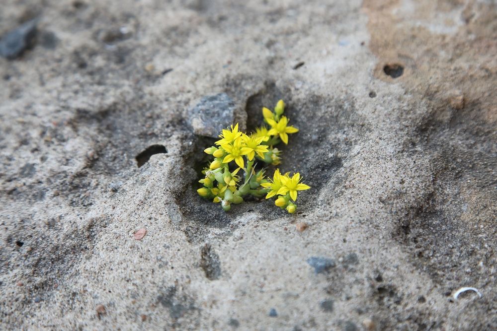 Photograph by Александр Анташкевич