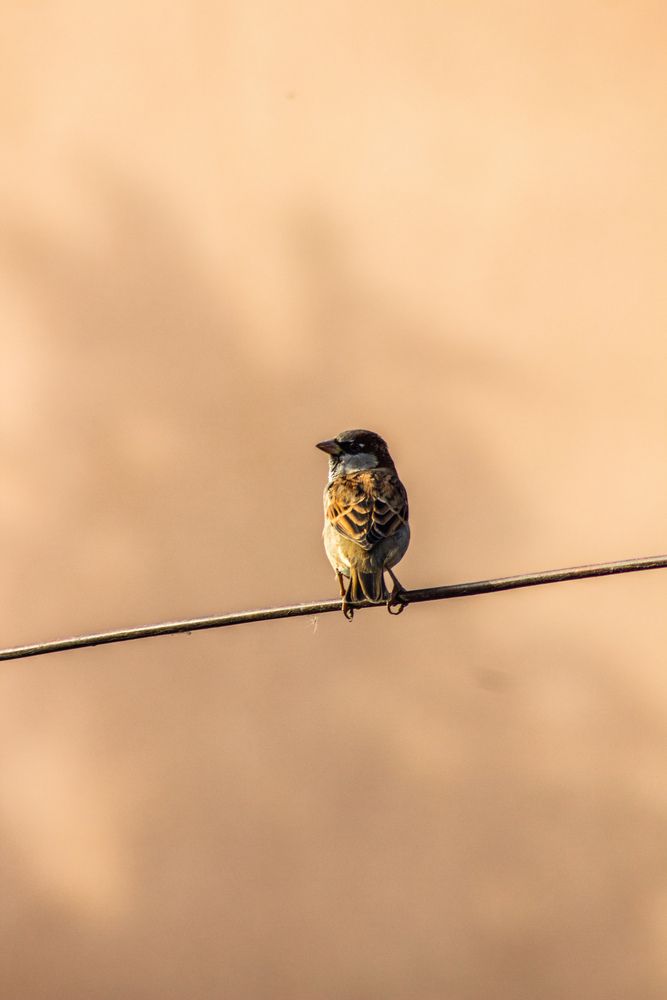 Photograph by Юлия Сысоева