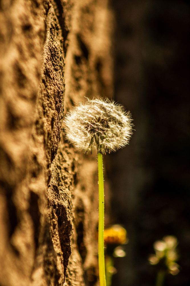 Photograph by Юлия Сысоева