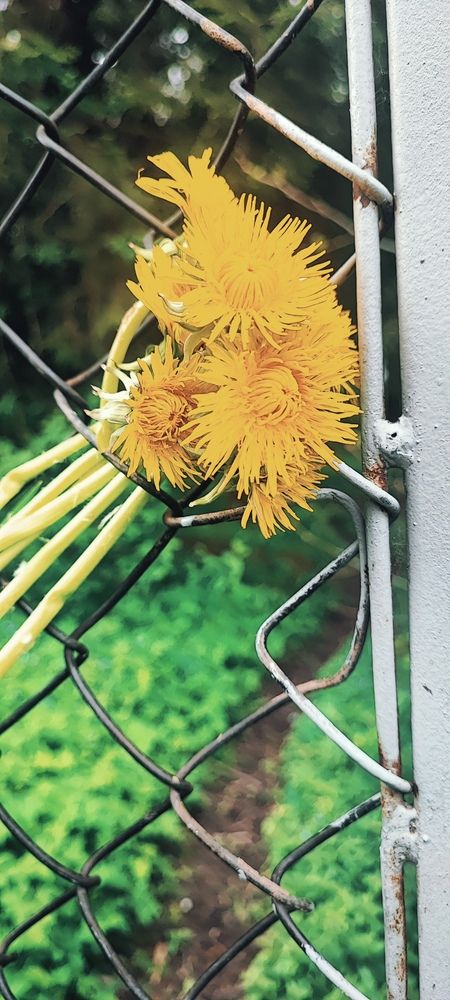 Photograph by Екатерина Александровна