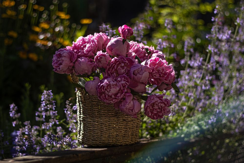 Photograph by Victoria Mogulyan