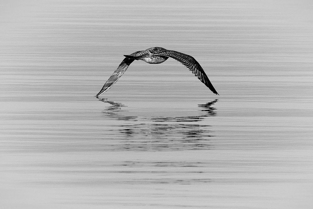 Photograph by VIZO