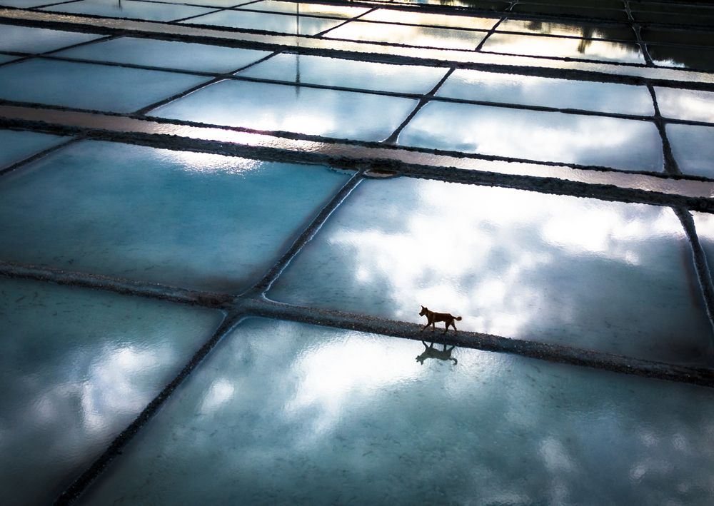 Photograph by Eugene Resh