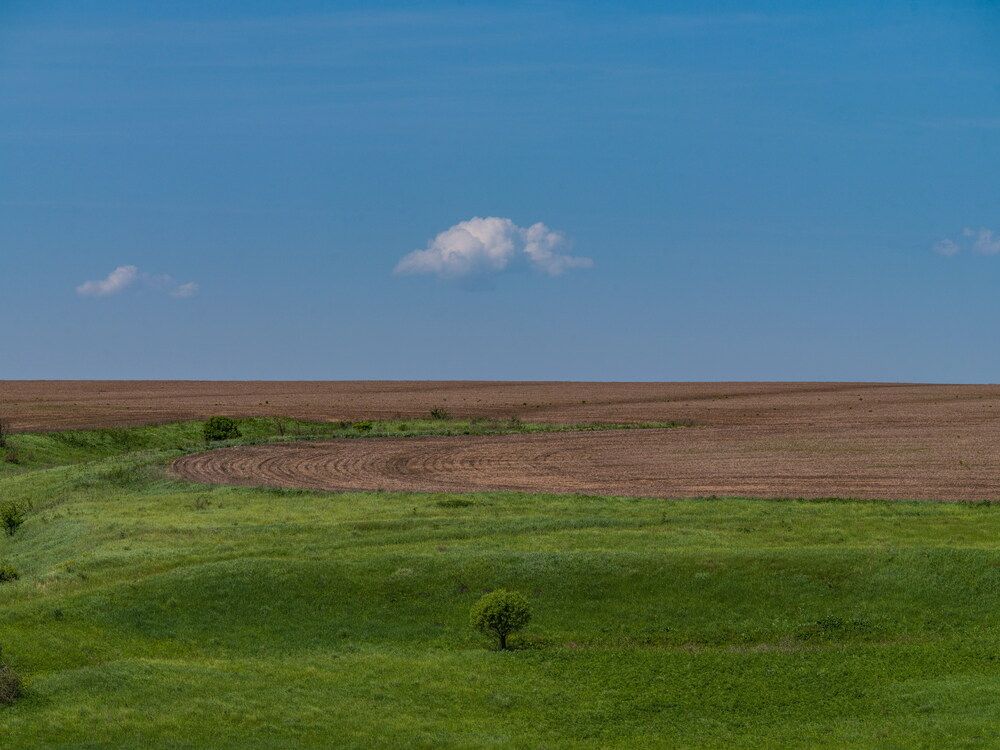 Lonely Tree and Cloud (No Editing Photo)