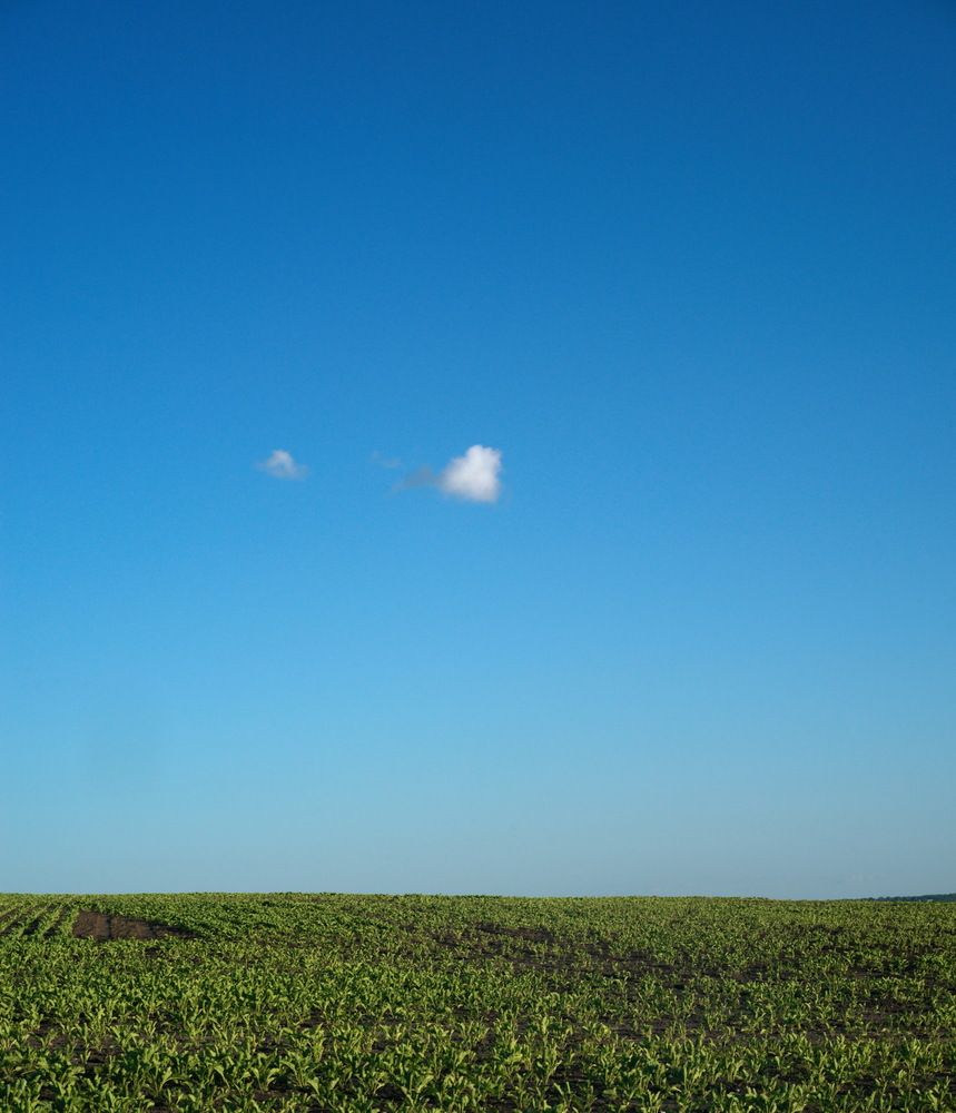 Lonely Cloud Over the Field