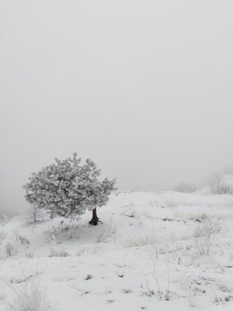 Photograph by Ольга Чернова