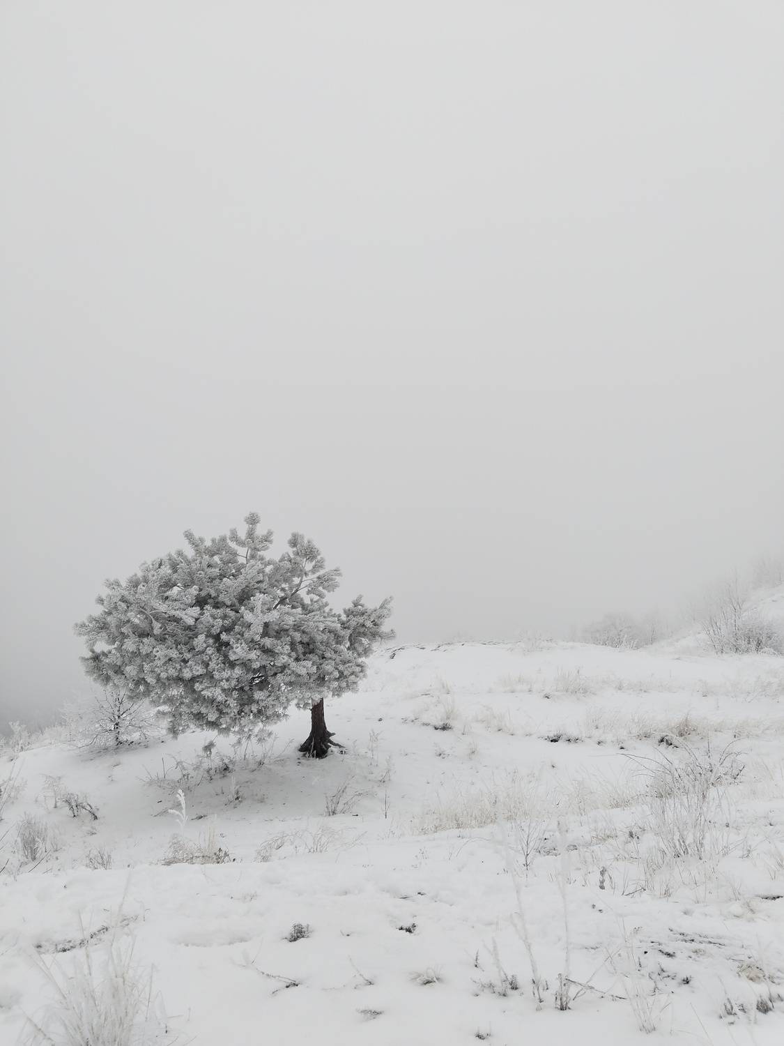 Photo #13649903