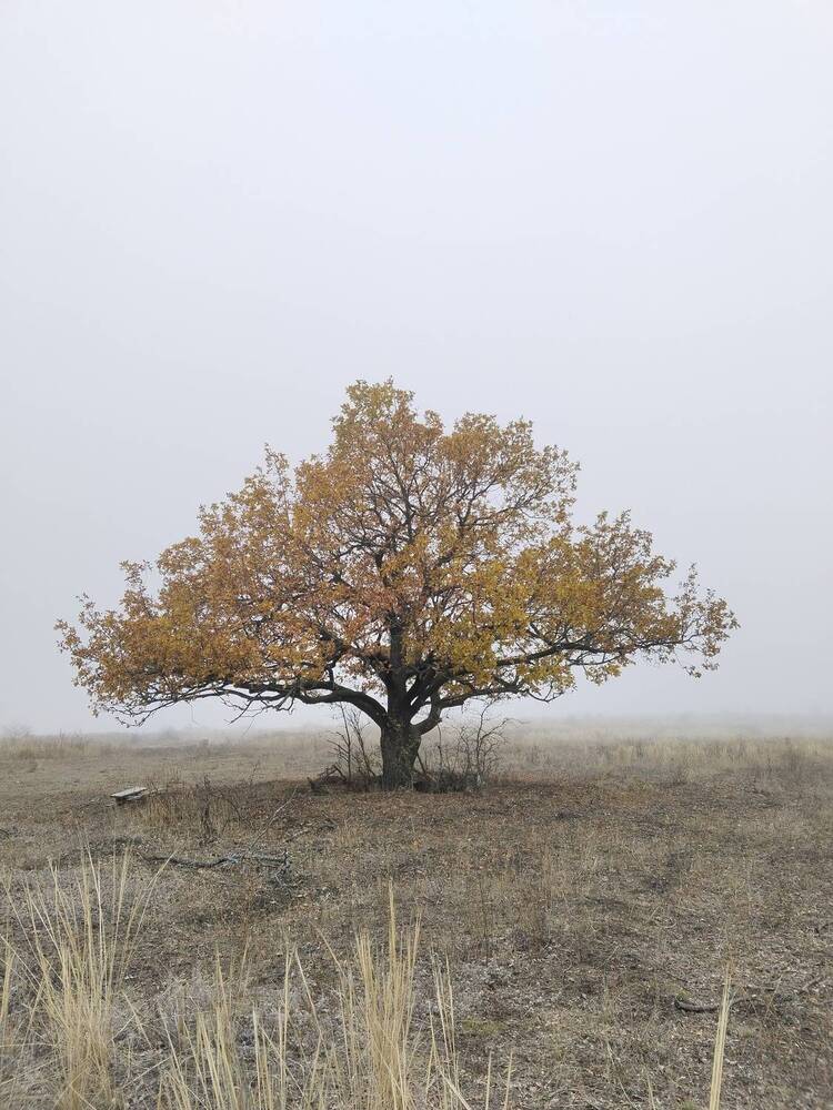 Photograph by Ольга Чернова