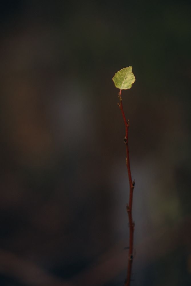 Photograph by Анна Бобкова