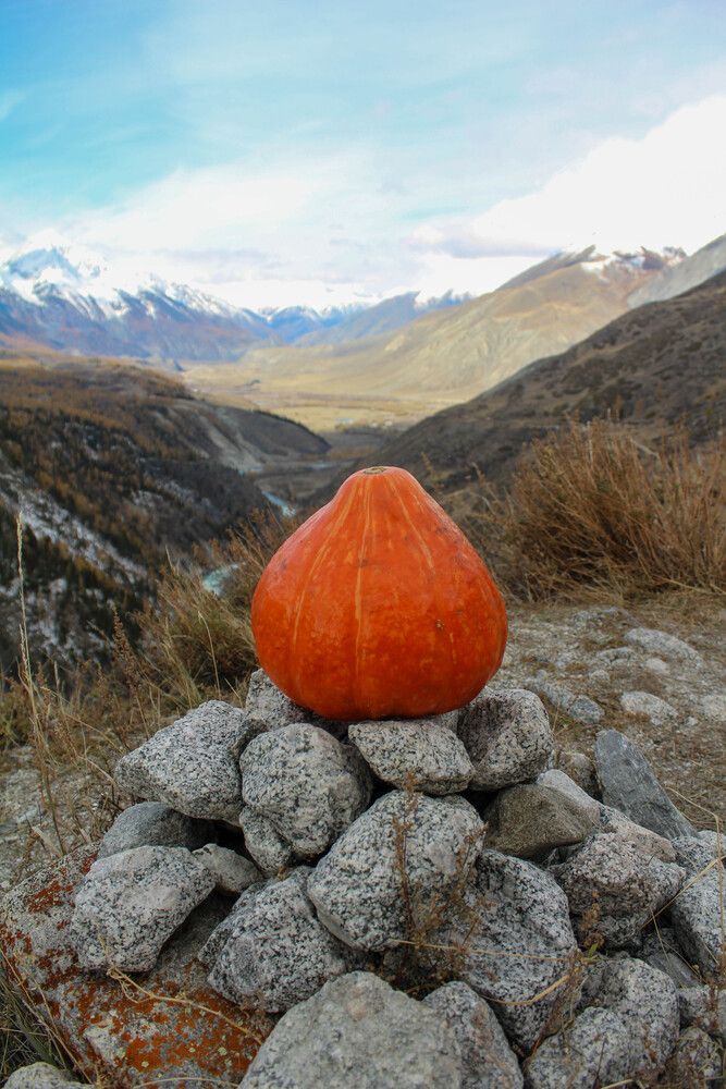 Photograph by Евгения Флиорчук