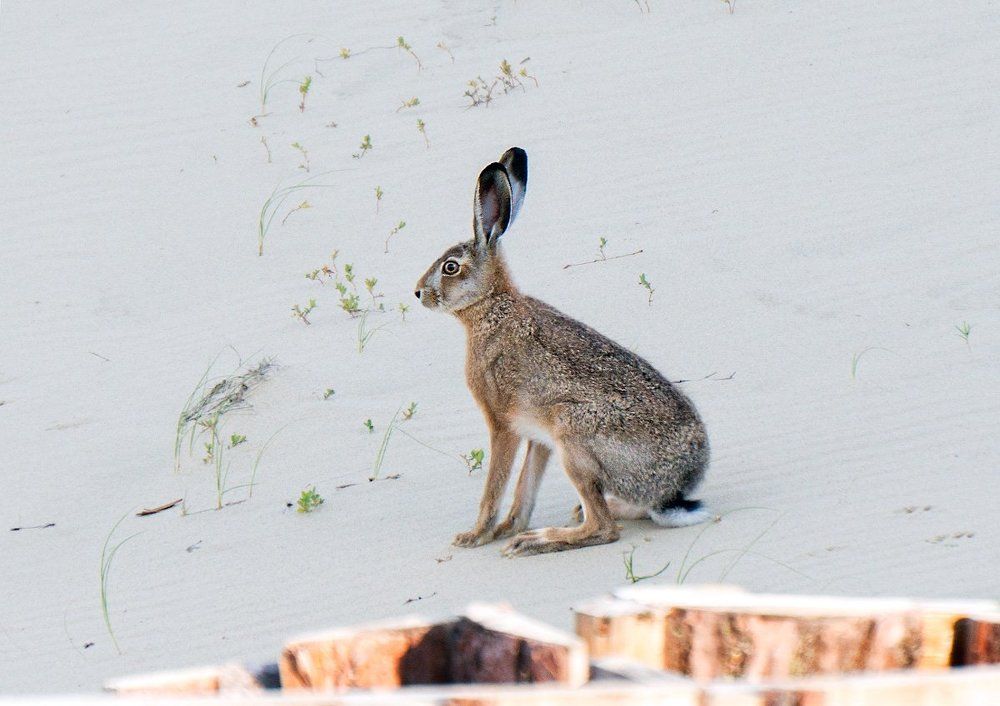 Photograph by Татьяна Рутковская