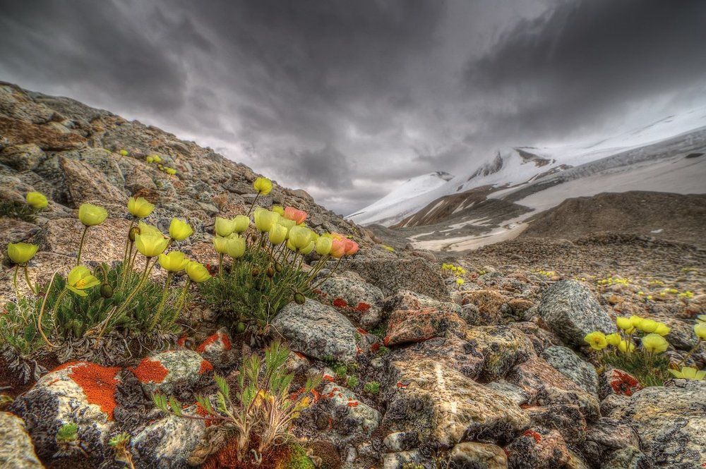 Слушая шёпот духов.