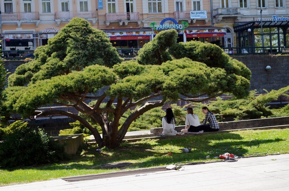 Три девицы вечерком...