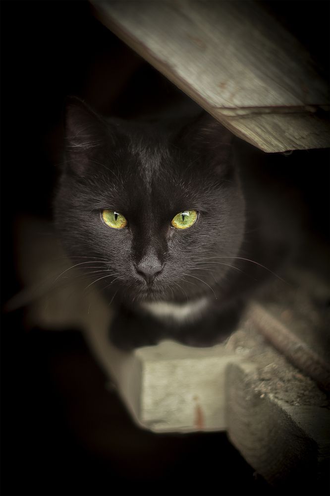 Photograph by владимир насекин