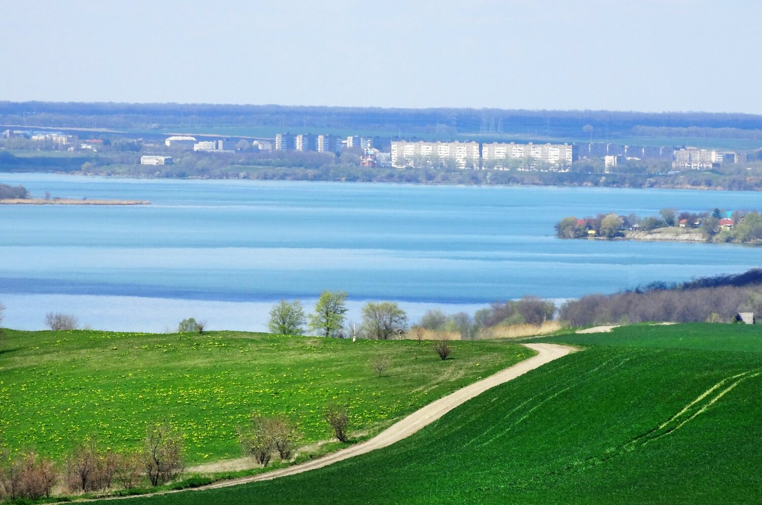 Родные мотивы