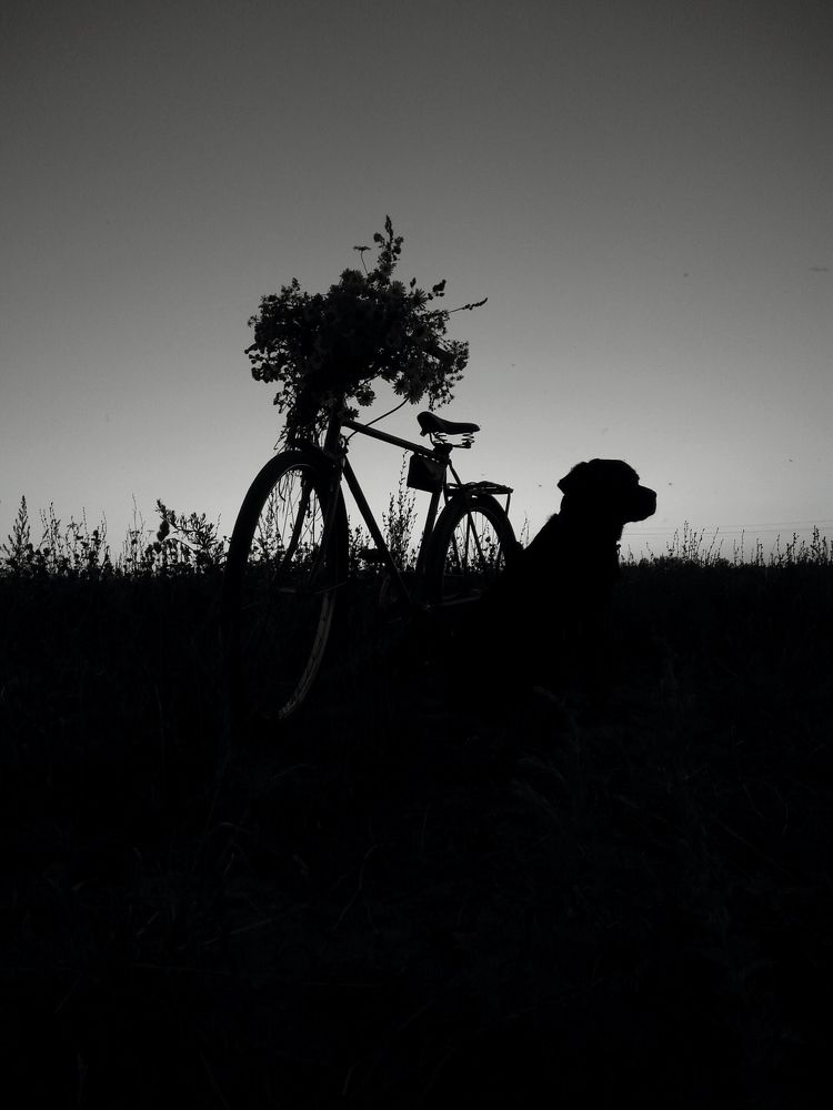 Мир прекрасен и в ночи ,только надо это увидеть