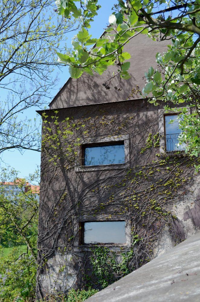 Photograph by Игорь