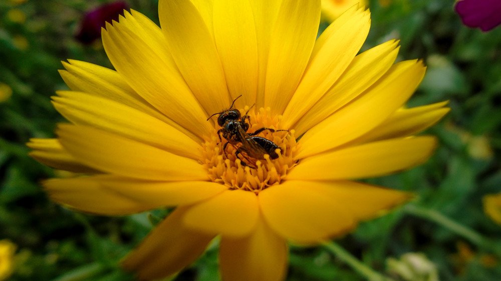 Photograph by Малах Виктория