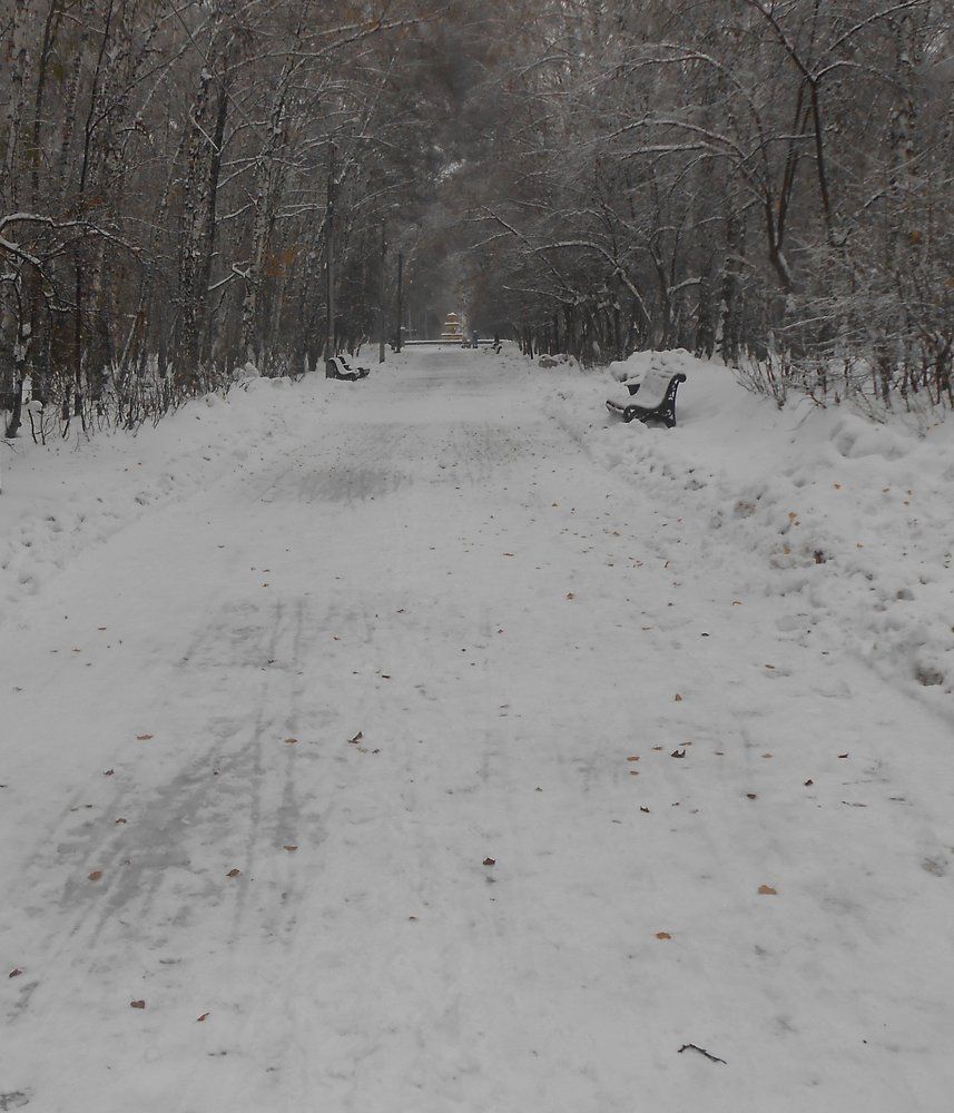 зимний парк