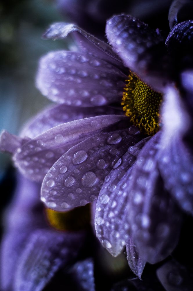 Photograph by Ёлкина Мария