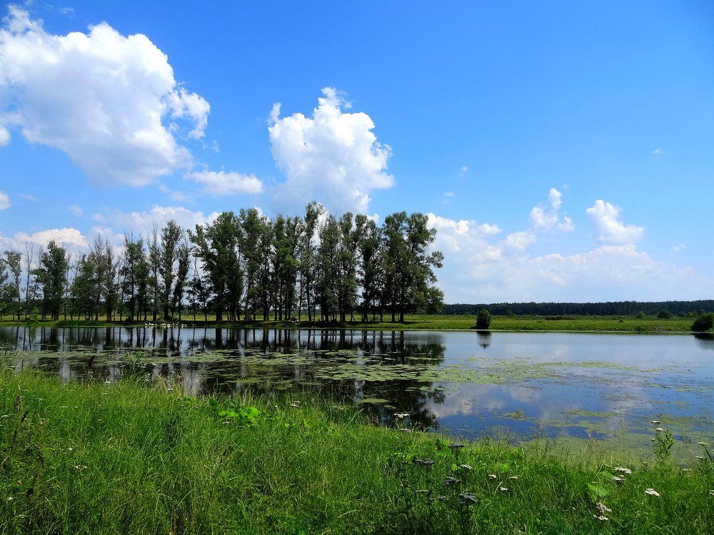 Photograph by Олеся