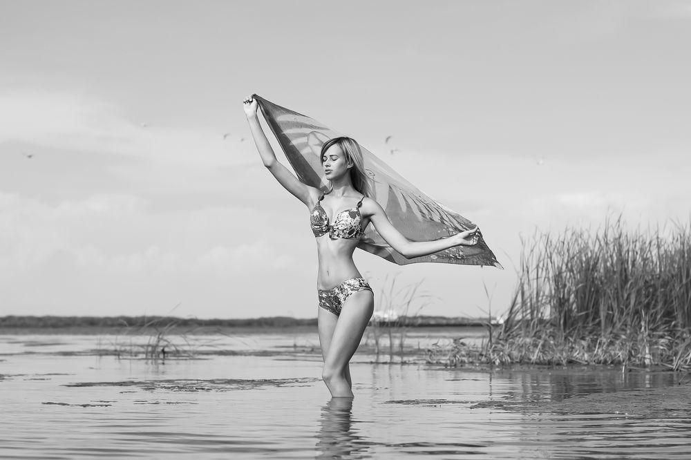 Полетим вместе!