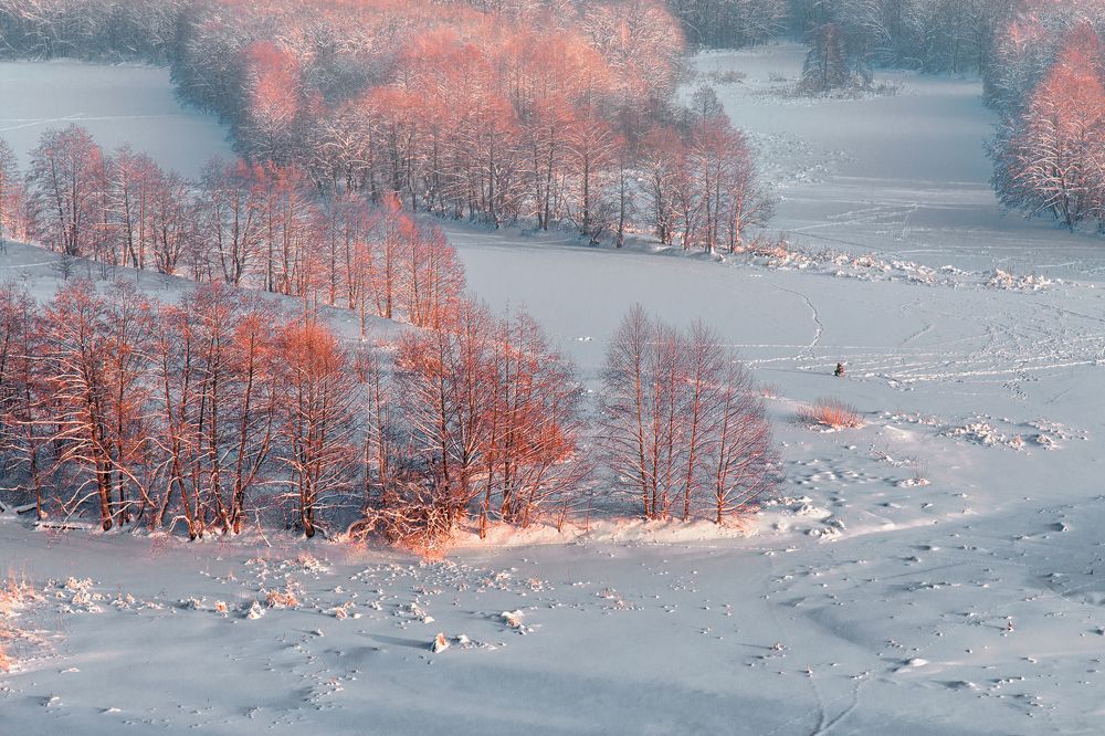 Одинокий рыбак.