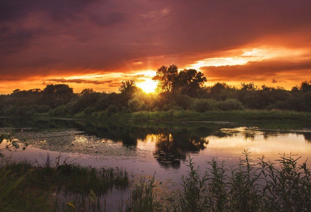 За 10 минут до грозы