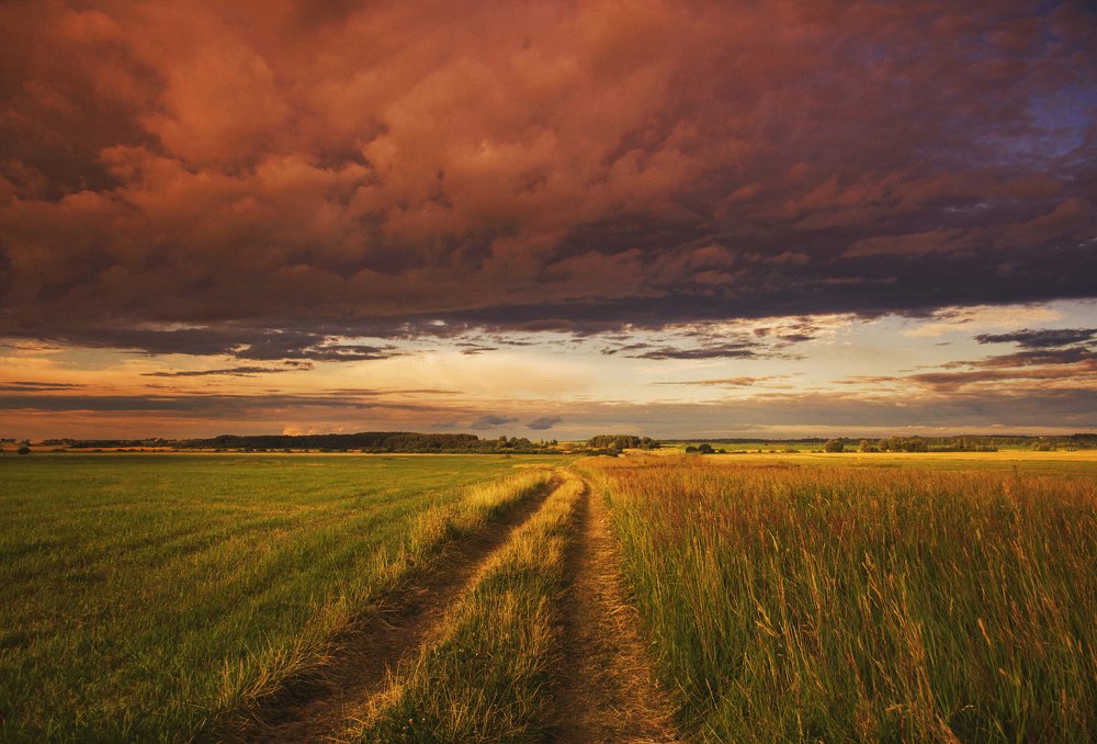Поле перед грозой