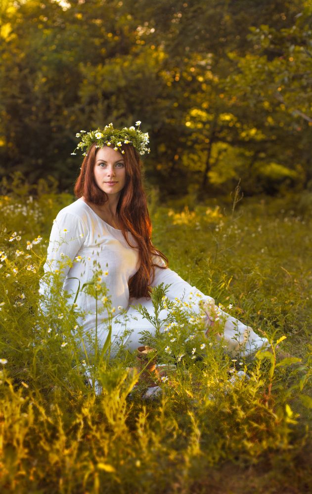 Ромашковый рассвет...