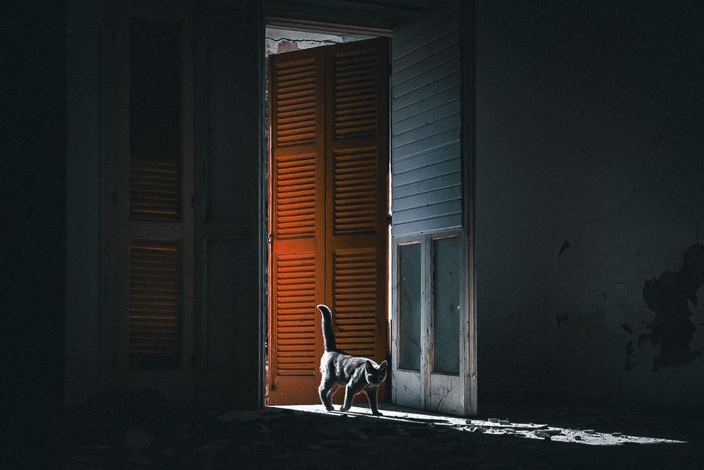 Photograph by Людмила Аксенова